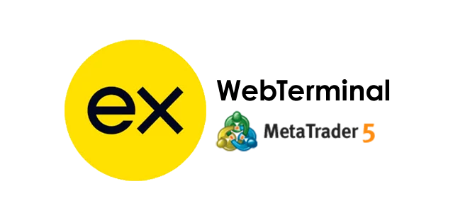 read-more-exness-webterminal-mt5